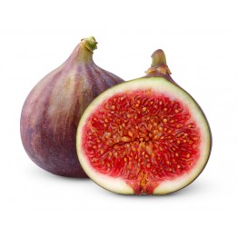 Олія з насіння Інжиру