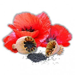 Олія з насіння Маку